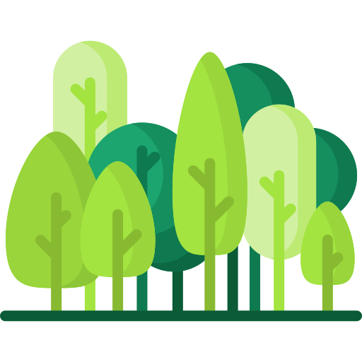 Forest / Nature